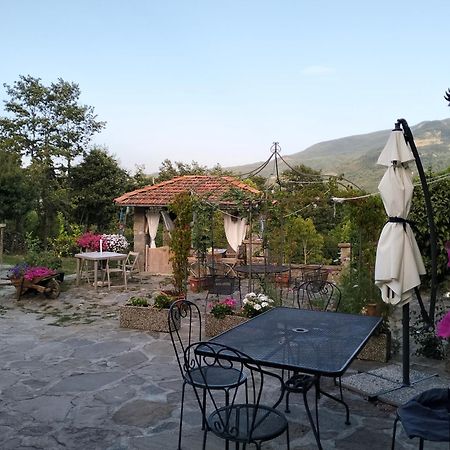 B&B La Corte Dei Cerri- Il Piccolo Chalet Frassinoro Dış mekan fotoğraf