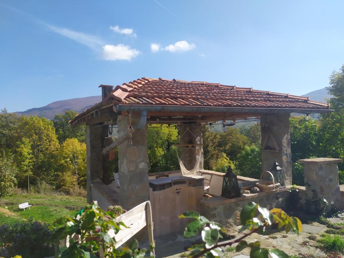 B&B La Corte Dei Cerri- Il Piccolo Chalet Frassinoro Dış mekan fotoğraf