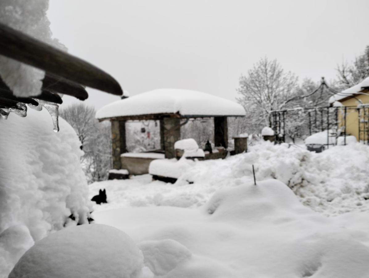 B&B La Corte Dei Cerri- Il Piccolo Chalet Frassinoro Dış mekan fotoğraf